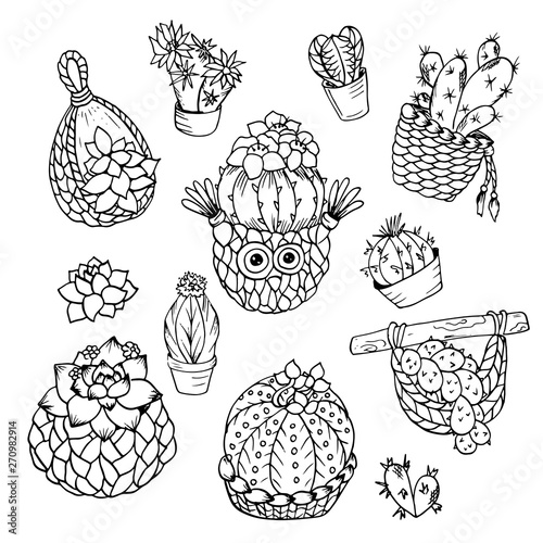 Succulents cactus in crochet pots set, black outline on white background, vector