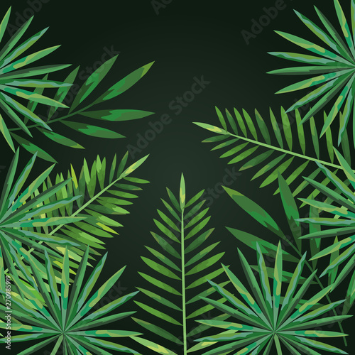 nature branches tropical leaves style