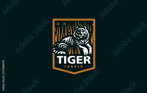 The image of a tiger