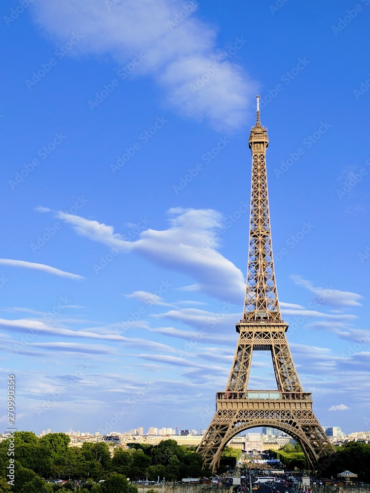 Fototapeta premium Eiffel Tower From Far