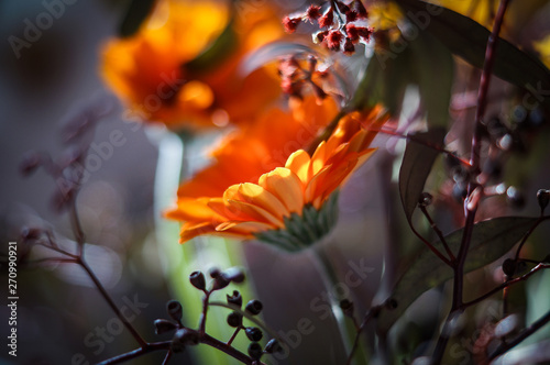 Sunny flowers