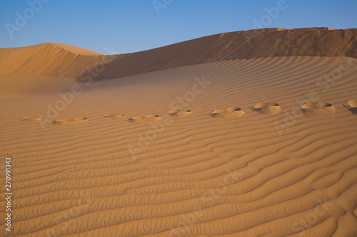 UAE. Desert background close up