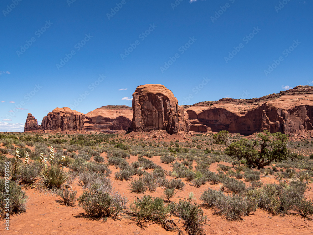 Fototapeta premium Monument Valley Utha