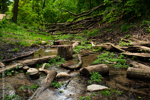 Little stream in a ravine at springtime