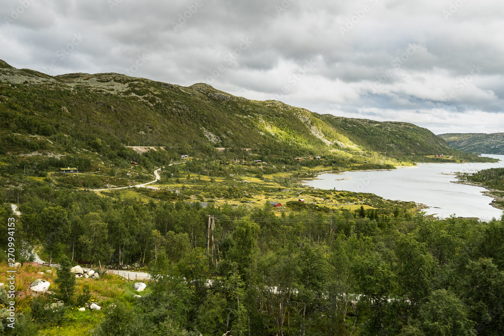 Landscape of central southern Norway viewed from Oslo-Bergen train, one of the most spectacular European railways