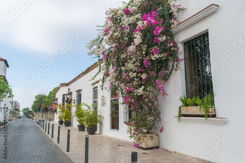 Fototapeta Naklejka Na Ścianę i Meble -  Historical street in the colonial city of Santo Domingo