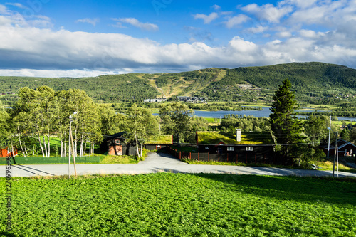 Landscape of central-southern Norway during summer, viewed from the train Oslo-Railway, one of the most scenic railways in Europe © Francesco Bonino