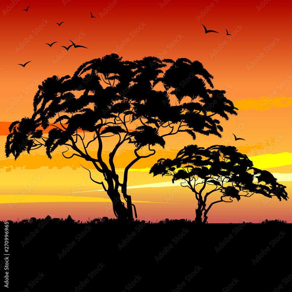 African landscape with black acacia tree silhouettes and sunset ...