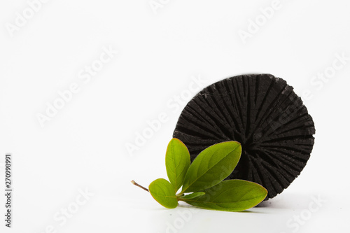 Natural wood charcoal with green leaf on white background