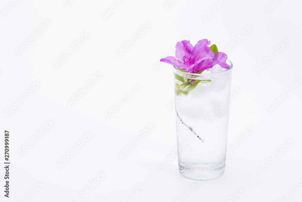 Royal azalea flower in glass of ice water on white background Royal azalea flower in glass of ice water on white background
