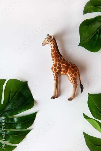 Concept of World giraffe protection day. Little toy realistic giraffe cub in center of frame, green monstera leaves around edges. White background, close-up, top view.