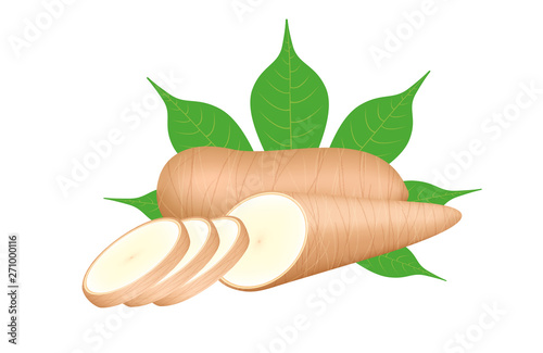 cassava fresh and leaf isolated on white background, raw cassava cut slice for tapioca flour industry or ethanol industry, pile yucca cassava tuber, raw manioc cassava in top view