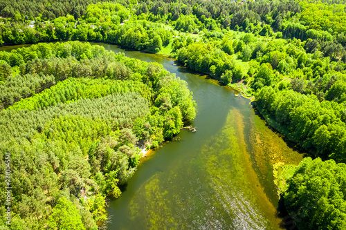 Winding river among the for...