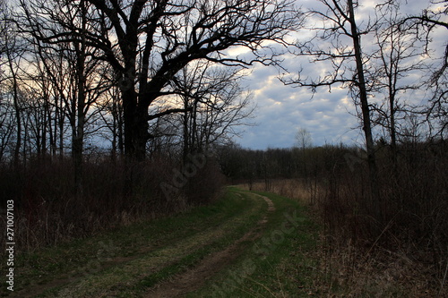 Photos of nature taken across the United States