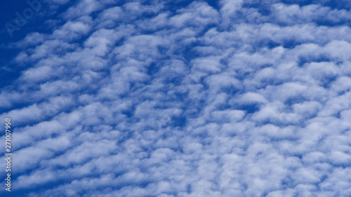 Fair-weather clouds on a sunny warm evening with blue sky
