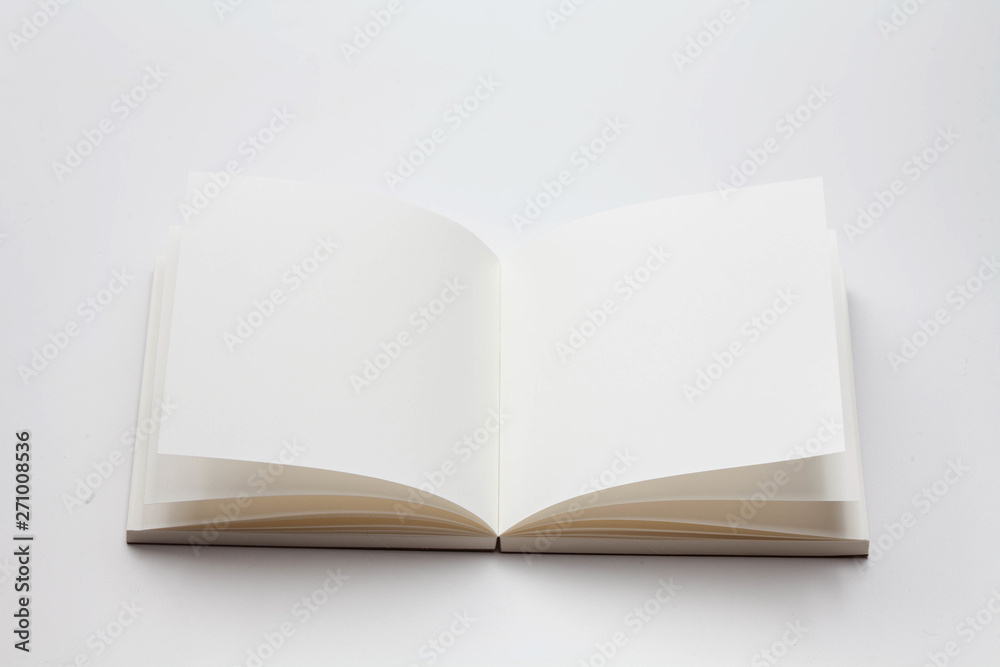 Opened book with blank pages on a white background Opened book with blank pages on a white background