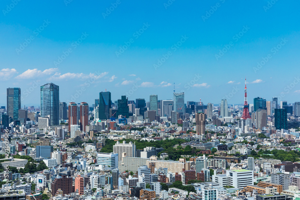 (東京都-都市風景)高層ビルラウンジから望む芝方面の風景１