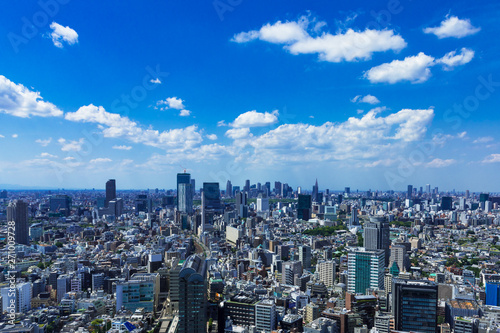 (東京都-都市風景)高層ビルラウンジから望む新宿･渋谷方面への風景１
