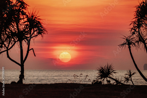 Orange sun with Black Palms silhouettes at orange sunset sky