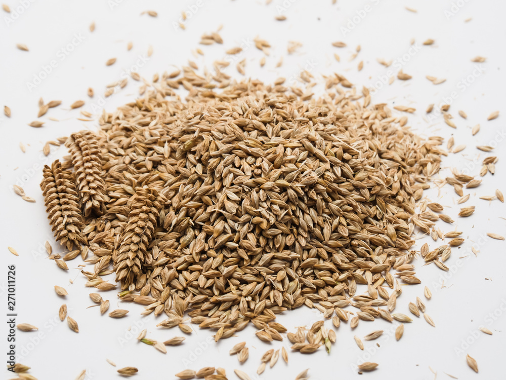 Ears of wheat and wheat grains on white background Ears of wheat and wheat grains on white background