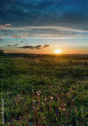 first summer sunset over the field © Sergey Panagushin