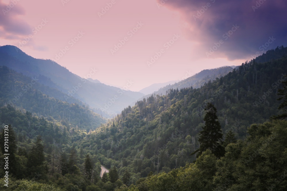 Fototapeta premium Smoky