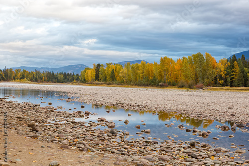 River rocks and color reflection on Flathead River, Montana in autumn with colorful fall trees