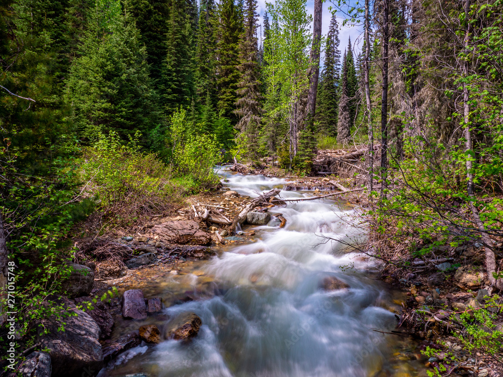 The Majestic Stream as it Meanders Through the Forest The Majestic Stream as it Meanders Through the Forest