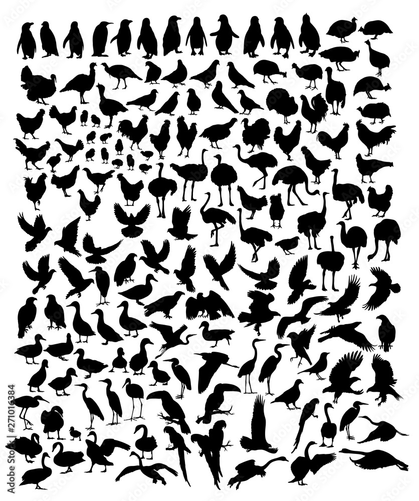 Birds, art vector silhouette design Birds, art vector silhouette design