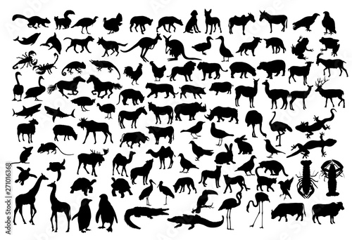 Animal Silhouettes, art vector design