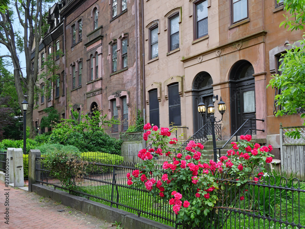 old brownstone type apartment buildings on a shady street with front gardens and rose bush