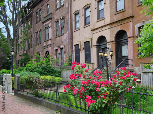 Fototapeta Naklejka Na Ścianę i Meble -  old brownstone type apartment buildings on a shady street with front gardens and rose bush