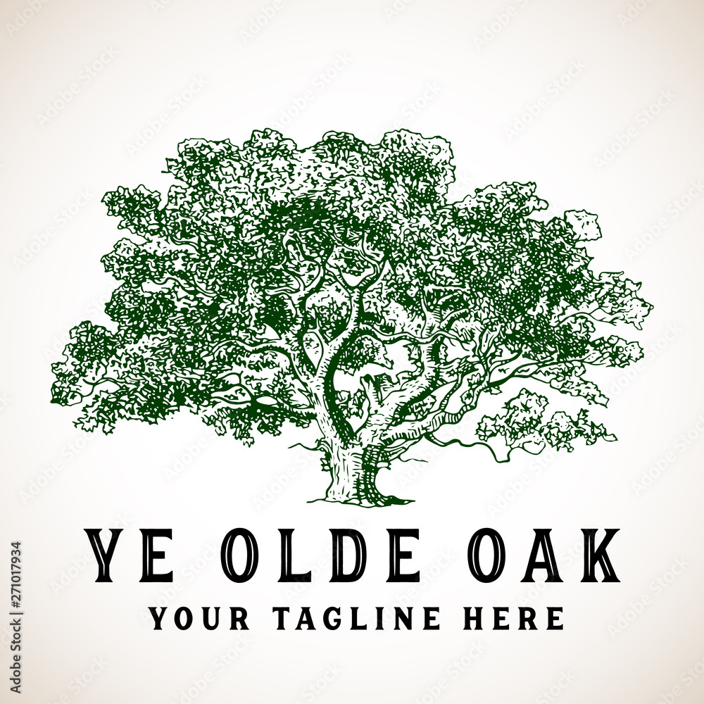 Obraz premium Tree Logo