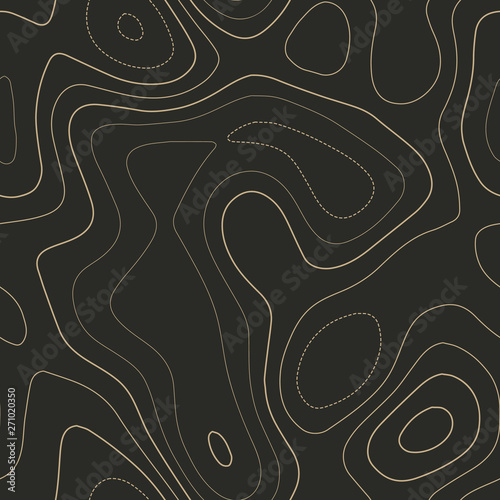 Admirable topography map. Seamless design. Dazzling tileable isolines pattern, vector illustration.