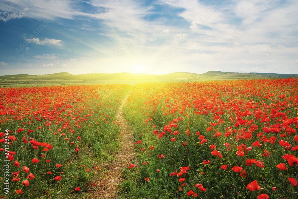 Footpath to sun and meadow of poppies.