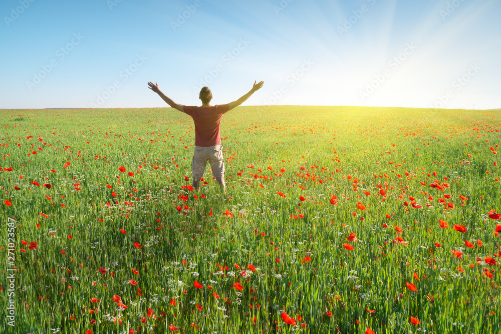 Man in spring meadow of poppy Man in spring meadow of poppy