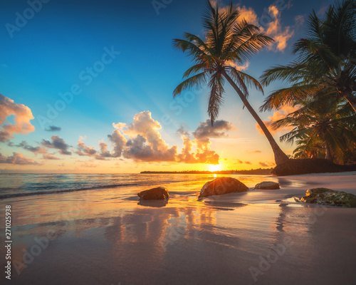 Fototapeta Naklejka Na Ścianę i Meble -  Palm tree and tropical beach in Punta Cana, Dominican Republic
