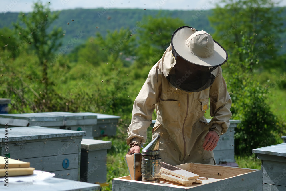 Beekeeper inspecting honeycomb frame at apiary at the summer day. Man working in apiary. Apiculture. Beekeeping concept. Beekeeper inspecting honeycomb frame at apiary at the summer day. Man working in apiary. Apiculture. Beekeeping concept.
