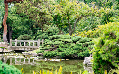 japanese garden with trees and pond