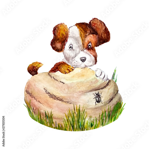 Watercolor funny happy little puppy pooch peeps hiding behind a stone on which the beetle crawls. Isolated on white background photo