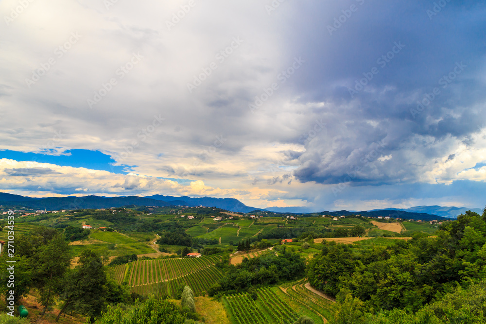 Stormy day in the vineyards of Brda, Slovenia Stormy day in the vineyards of Brda, Slovenia