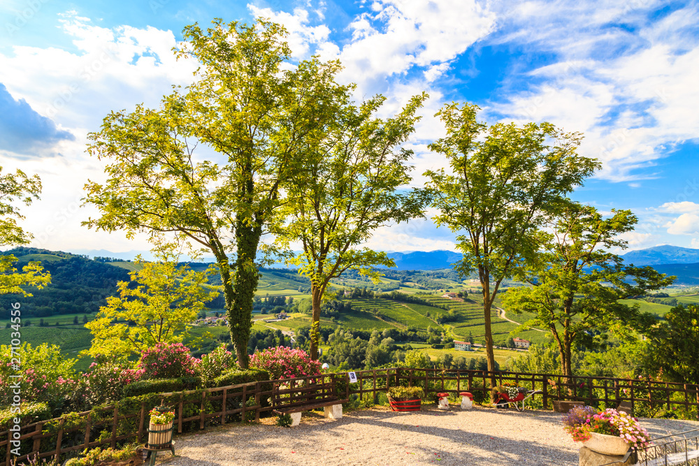 The beautiful vineyard of Collio, Friuli Venezia-Giulia, Italy