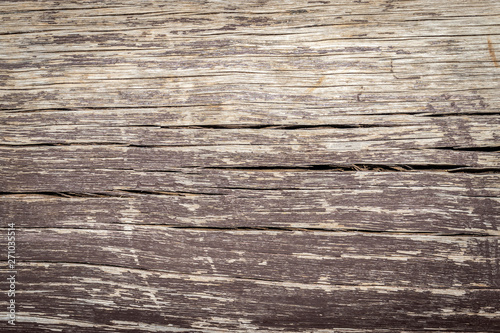 Wallpaper Mural Wood dry pattern due to nature Torontodigital.ca