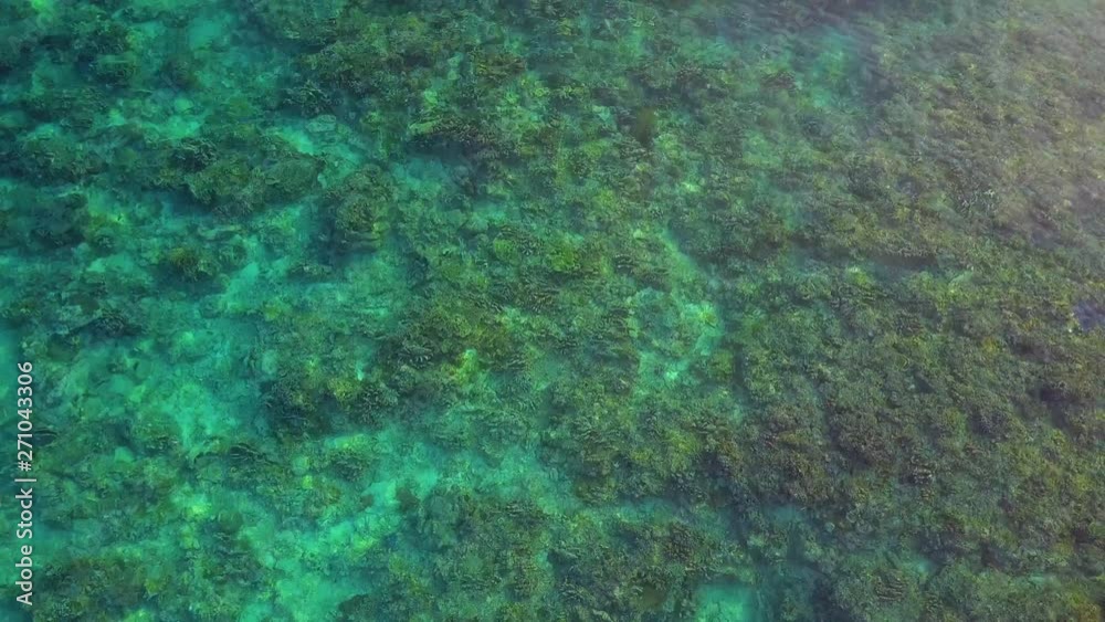 Aerial Forward: Amazing Coral Reef Under Bright Blue Water - Gili Islands, Bali Aerial Forward: Amazing Coral Reef Under Bright Blue Water - Gili Islands, Bali