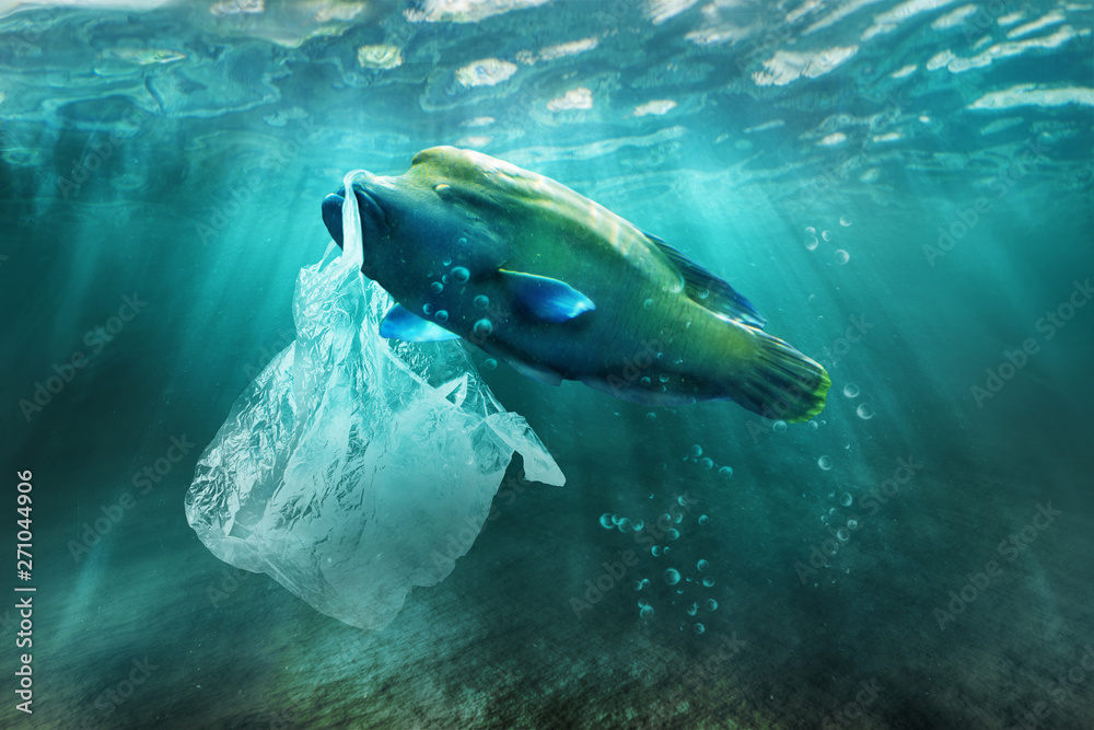 Plastic pollution in ocean environmental problem. Fish can eat plastic
