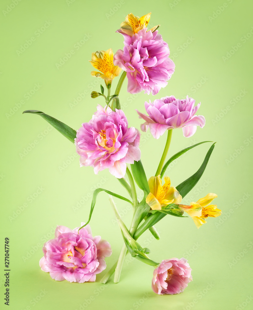 Pink tulip and yellow spring flowers on green background. Pink tulip and yellow spring flowers on green background.