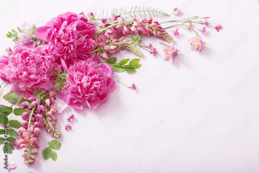 pink beautiful flowers on white background
