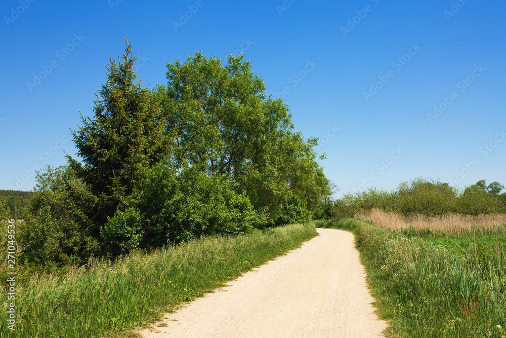 Rural sand road through summer meadow. Blue sky sunny day landscape.