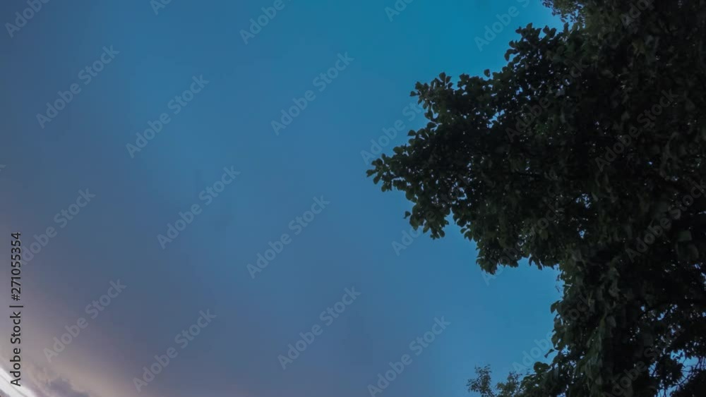 Time-lapse summer dusk blue and violet sky with the silhouette tree without wind in suburban of small town Time-lapse summer dusk blue and violet sky with the silhouette tree without wind in suburban of small town