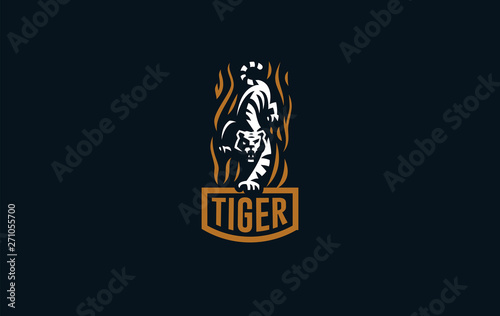The image of a tiger
